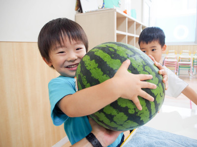 日本の夏 スイカ割り ブログ 横浜のインターナショナルスクール Cosmo Global Kids Cgk