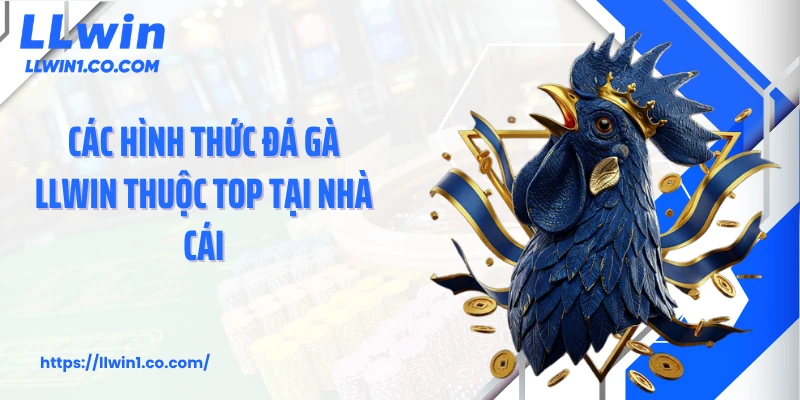 Các hình thức đá gà LLwin thuộc top tại nhà cái