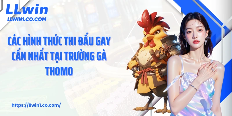 Các hình thức thi đấu gay cấn nhất tại trường gà Thomo