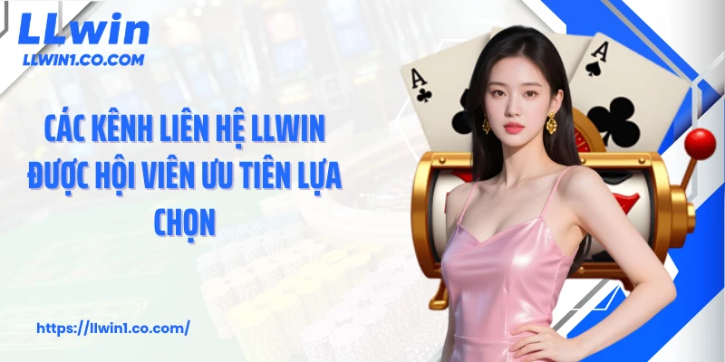 Các kênh liên hệ LLwin được hội viên ưu tiên lựa chọn