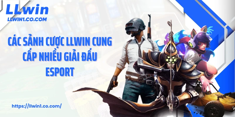 Các sảnh cược LLwin cung cấp nhiều giải đấu esport