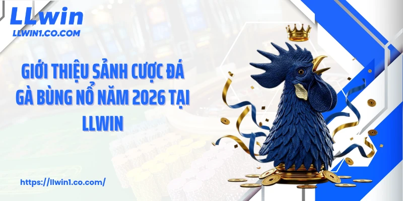 Giới thiệu sảnh cược đá gà bùng nổ năm 2026 tại LLwin
