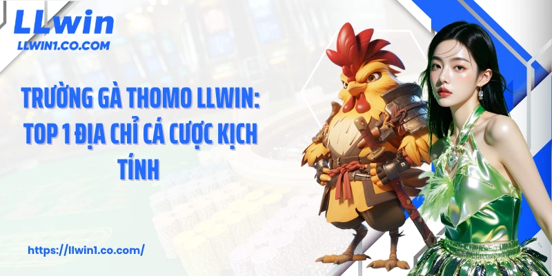 Trường Gà Thomo LLwin: Top 1 Địa Chỉ Cá Cược Kịch Tính 